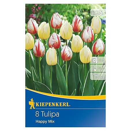 Kiepenkerl  Frühlingsblumenzwiebel-Mix