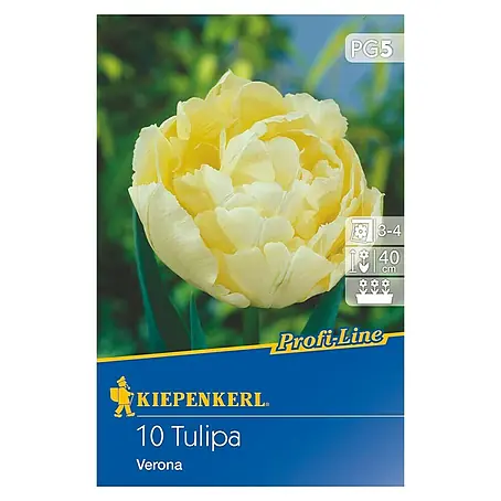 Kiepenkerl  Frühlingsblumenzwiebeln