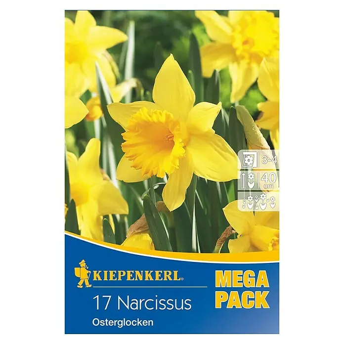 Kiepenkerl Frühlingsblumenzwiebeln Mega-Pack Osterglocke - Narcissus pseudonarcissus, 17 Stk. - Vorderansicht