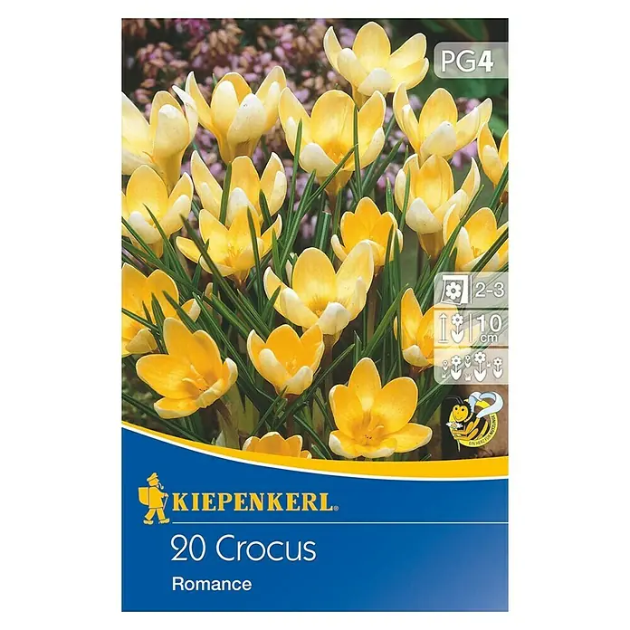 Kiepenkerl Frühlingsblumenzwiebeln Wildkrokus Romance - Crocus chrysanthus, 20 Stk. - Vorderansicht