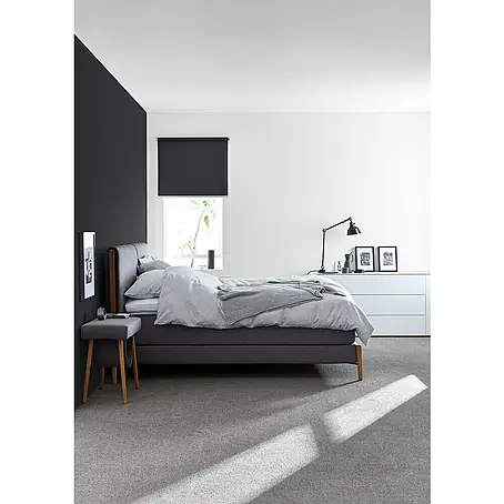 SCHÖNER WOHNEN-Farbe  Wandfarbe Trendfarbe Jubiläum