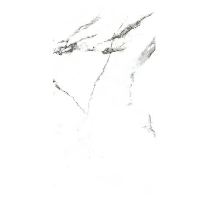 Feinsteinzeugfliese Calacatta - 50 x 100 cm, Weiß, Glänzend - Draufsicht