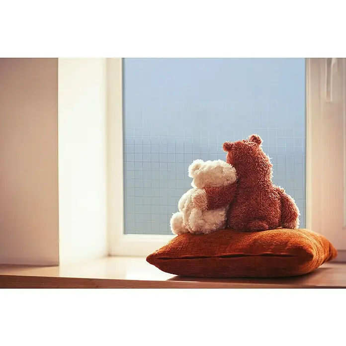 Lámina adhesiva Check - Transparente, Con adherencia estática - Vista de una ventana con dos ositos de peluche sentados en un cojín. Los animales de peluche miran por la ventana, sentados uno al lado del otro.