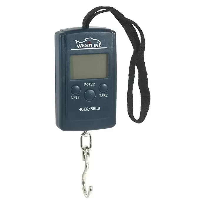 Westline Digitale Waage - Tragkraft: 40 kg - Diagonale Ansicht