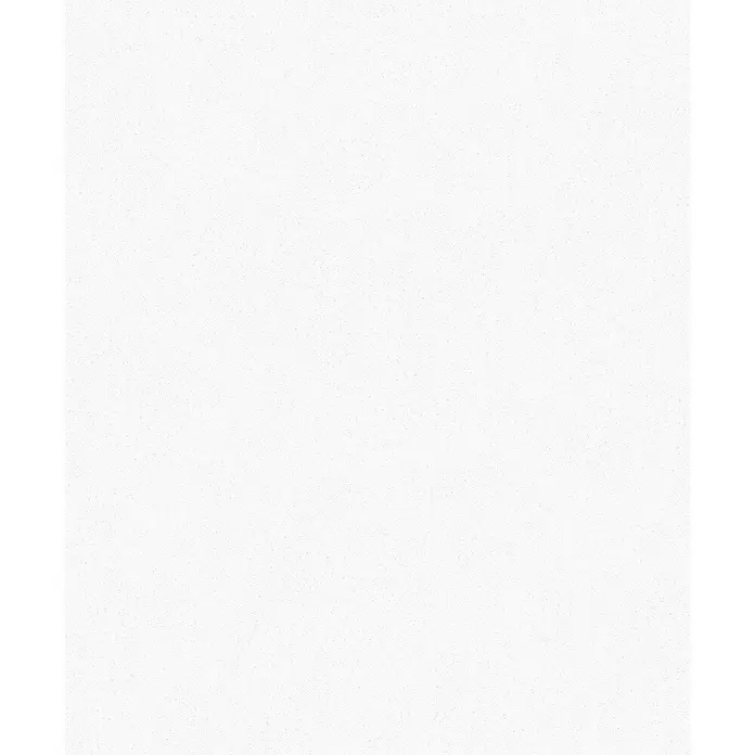 SCHÖNER WOHNEN-Kollektion New Spirit Vliestapete - Weiß, Uni, 10,05 x 0,53 m - Detailaufnahme