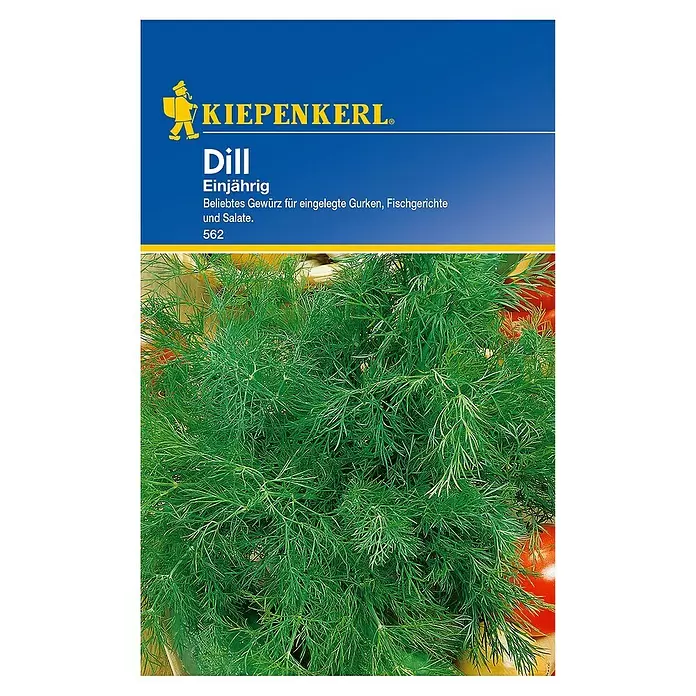 Kiepenkerl Kräutersamen Dill - Anethum graveolens var. hortorum, Saatzeit: April, Erntezeit: Juni - Draufsicht