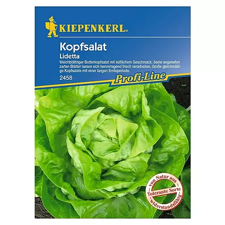 Kiepenkerl Profi-Line Salatsamen Kopfsalat