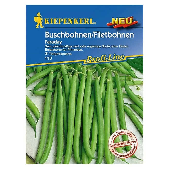 Kiepenkerl Profi-Line Gemüsesamen Buschbohne - Faraday, Phaseolus vulgaris var. nanus, Erntezeit: Juli - Vorderansicht