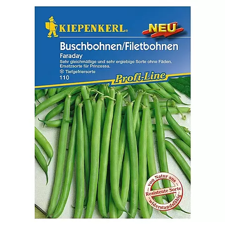 Kiepenkerl Profi-Line Gemüsesamen Buschbohne