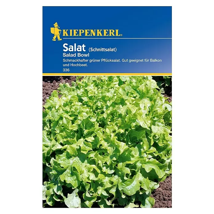 Kiepenkerl Salatsamen Pflücksalat Salad Bowl - Lactuca sativa - Vorderansicht