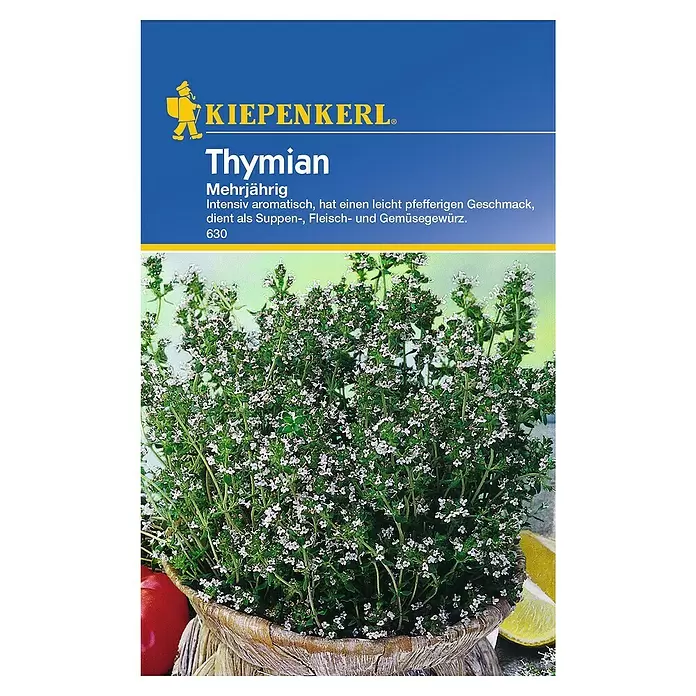 Kiepenkerl Kräutersamen Thymian - Thymus vulgaris, Saatzeit: April, Erntezeit: Ganzjährig - Vorderansicht