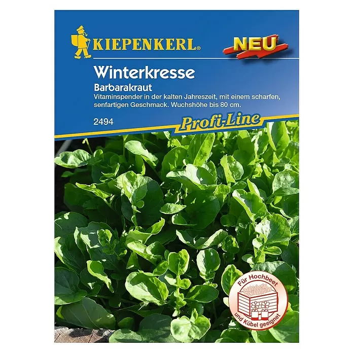 Kiepenkerl Profi-Line Kräutersamen Winterkresse - Barbarea verna, Saatzeit: März, Erntezeit: Oktober - Vorderansicht