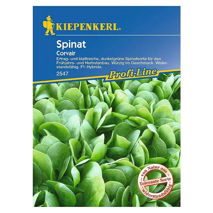Kiepenkerl Profi-Line Gemüsesamen Spinat - Spinacia oleracea, Erntezeit: April - Vorderansicht