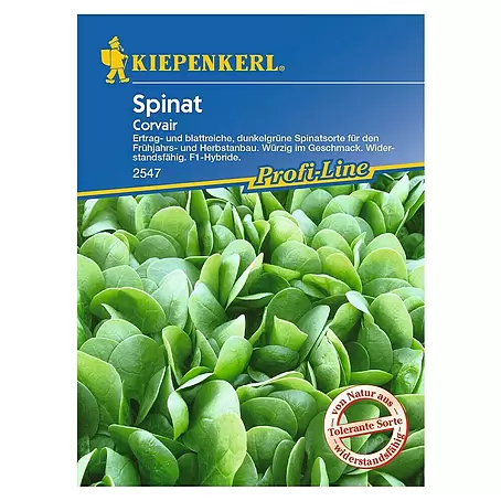 Kiepenkerl Profi-Line Gemüsesamen Spinat