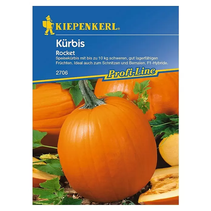 Kiepenkerl Profi-Line Gemüsesamen Kürbis - Cucurbita pepo, Erntezeit: September - Vorderansicht