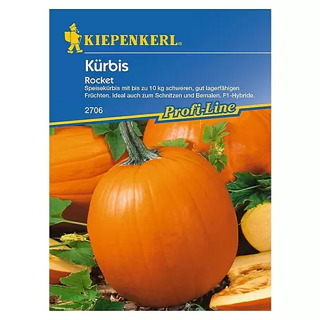 Kiepenkerl Profi-Line Gemüsesamen Kürbis
