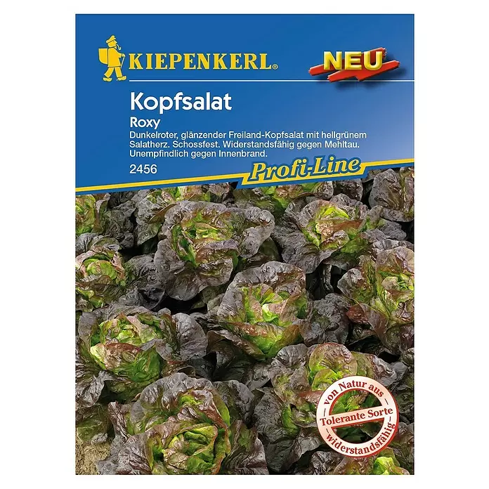 Kiepenkerl Profi-Line Salatsamen Kopfsalat - Roxy, Lactuca sativa var. capitata, Erntezeit: Mai - Vorderansicht