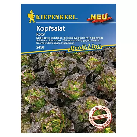 Kiepenkerl Profi-Line Salatsamen Kopfsalat