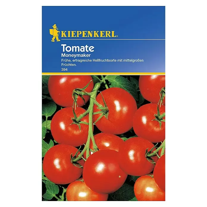 Kiepenkerl Gemüsesamen Tomate - Moneymaker, Solanum lycopersicum, Erntezeit: Juli - Draufsicht