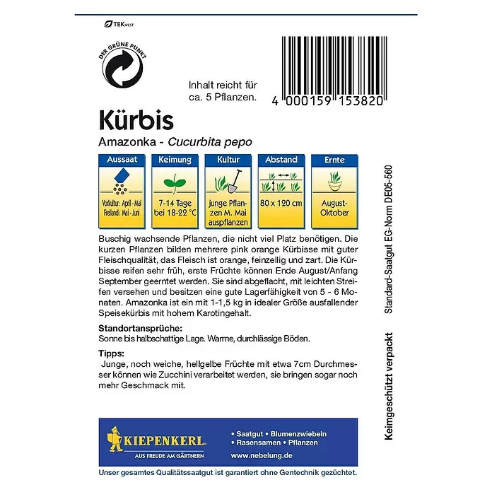 Kiepenkerl Gemüsesamen Kürbis - Cucurbita pepo, Erntezeit: August - Rückansicht