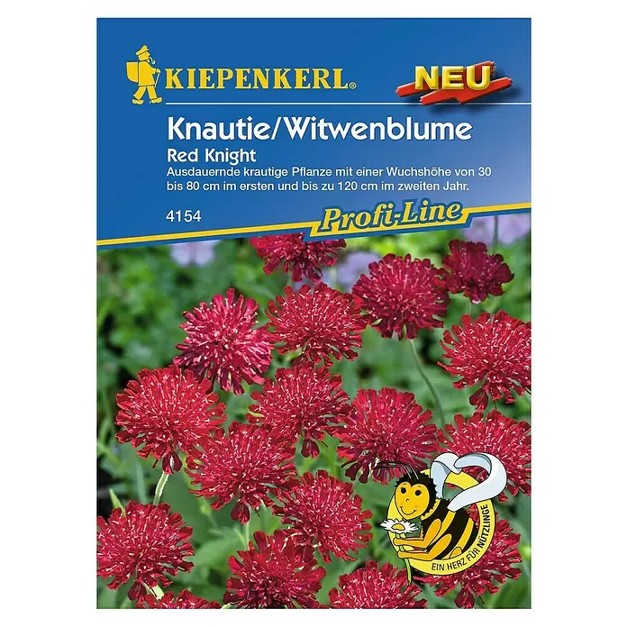Kiepenkerl Profi-Line Blumensamen Knautie / Witwenblume - Knautia macedonica, Rot - Vorderansicht