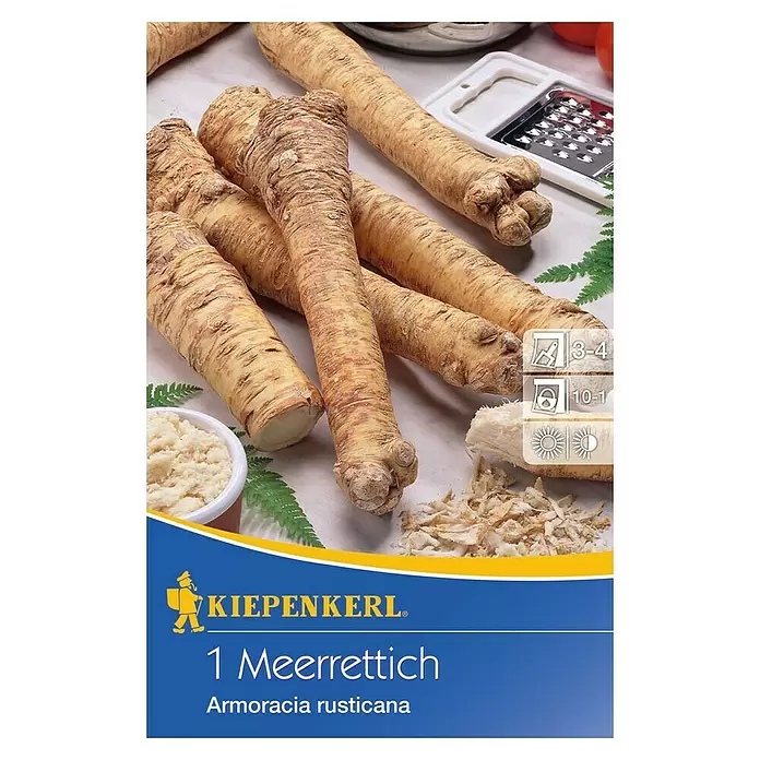 Kiepenkerl Gemüsesamen Meerrettich - Armoracia rusticana, Erntezeit: Januar - Vorderansicht
