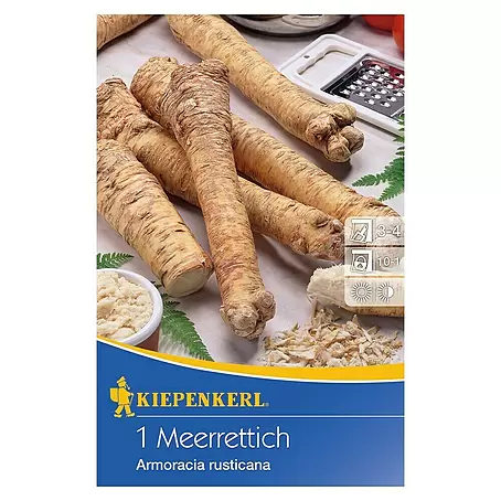 Kiepenkerl  Gemüsesamen Meerrettich