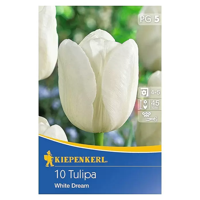 Kiepenkerl Frühlingsblumenzwiebeln Tulpe - Tulipa hybride, 10 Stk. - Draufsicht