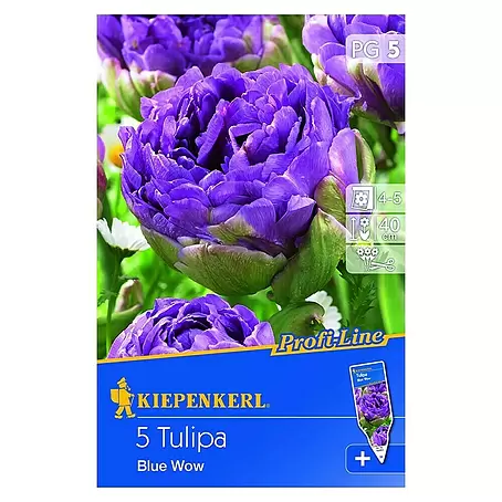 Kiepenkerl  Frühlingsblumenzwiebeln