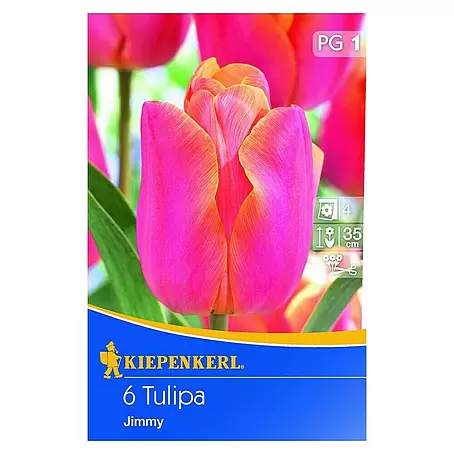 Kiepenkerl  Frühlingsblumenzwiebeln