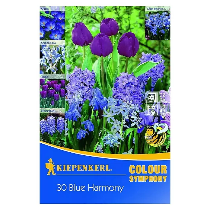 Kiepenkerl Frühlingsblumenzwiebel-Mix Blue Harmony - Arten-Mischung, 30 Stk. - Vorderansicht