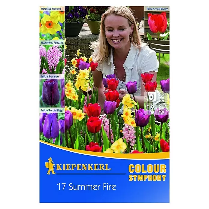 Kiepenkerl Frühlingsblumenzwiebel-Mix Summer Fire - Arten-mischung, 17 Stk. - Vorderansicht