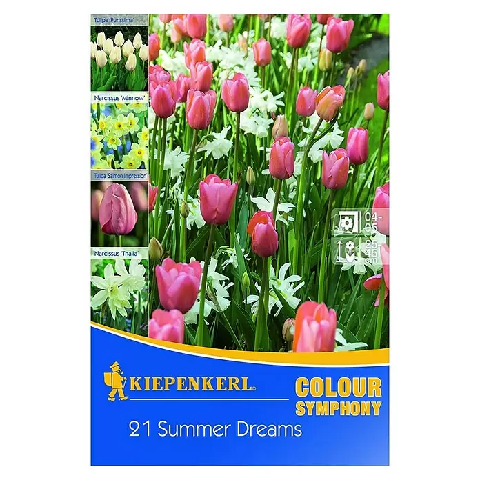 Kiepenkerl Frühlingsblumenzwiebel-Mix Summer Dreams - Arten-Mischung, 21 Stk. - Vorderansicht