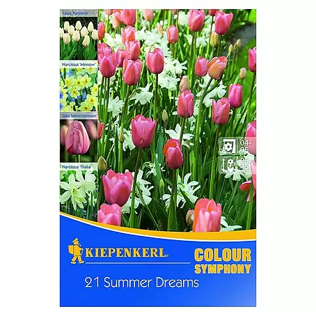 Kiepenkerl  Frühlingsblumenzwiebel-Mix Summer Dreams