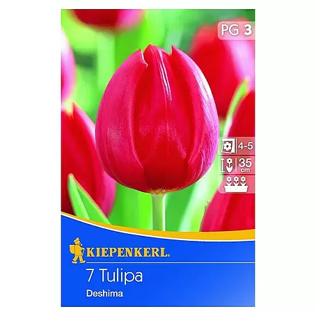 Kiepenkerl  Frühlingsblumenzwiebeln
