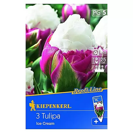 Kiepenkerl  Frühlingsblumenzwiebeln