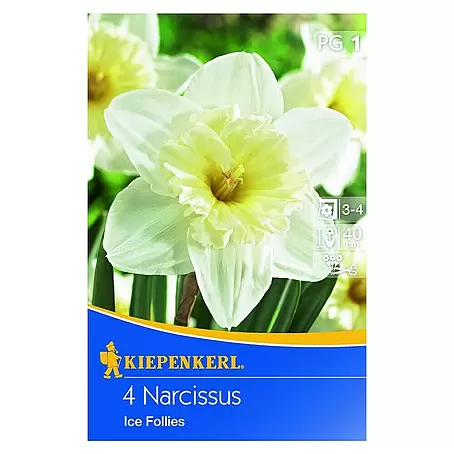 Kiepenkerl  Frühlingsblumenzwiebeln Narzisse 'Ice Follies'