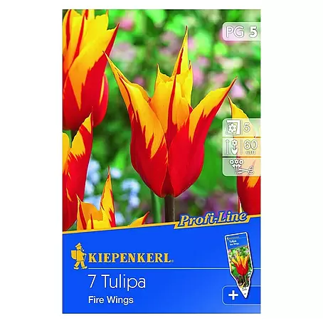 Kiepenkerl  Frühlingsblumenzwiebeln