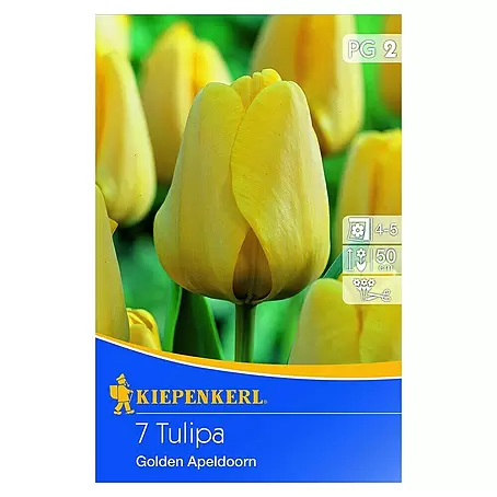 Kiepenkerl  Frühlingsblumenzwiebeln