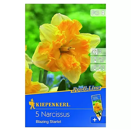 Kiepenkerl  Frühlingsblumenzwiebeln Narzisse 'Blazing Starlet'