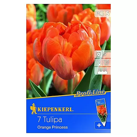 Kiepenkerl  Frühlingsblumenzwiebeln