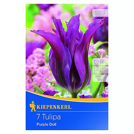 Kiepenkerl  Frühlingsblumenzwiebeln