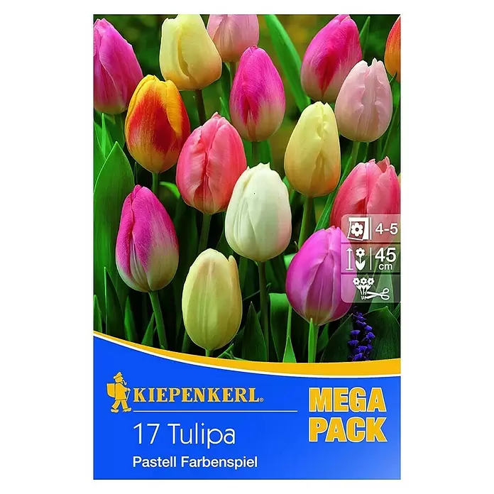 Kiepenkerl Frühlingsblumenzwiebeln Mega-Pack - Tulipa 'Pastell Farbenspiel', Pastellfarben gemischt, Pastelltöne, 17 Stk. - Vorderansicht