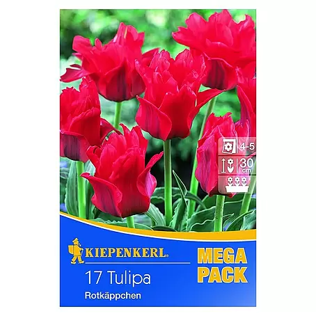 Kiepenkerl  Frühlingsblumenzwiebeln Mega-Pack
