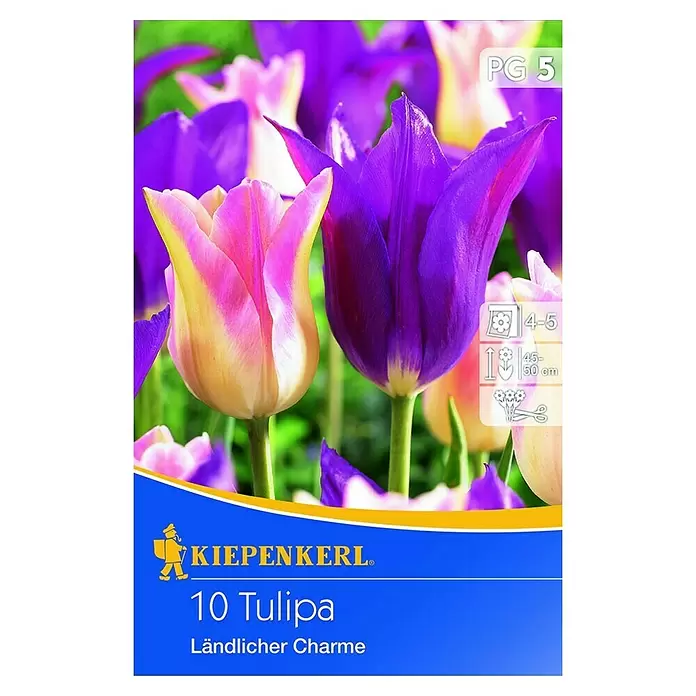 Kiepenkerl Frühlingsblumenzwiebel-Mix - Tulipa 'Ländlicher Charme', 10 Stk. - Vorderansicht