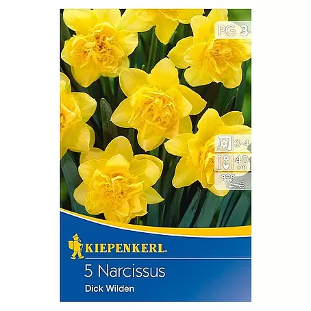 Kiepenkerl  Frühlingsblumenzwiebeln Narzisse 'Dick Wilden'