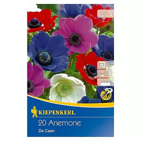 Kiepenkerl  Frühlingsblumenzwiebeln