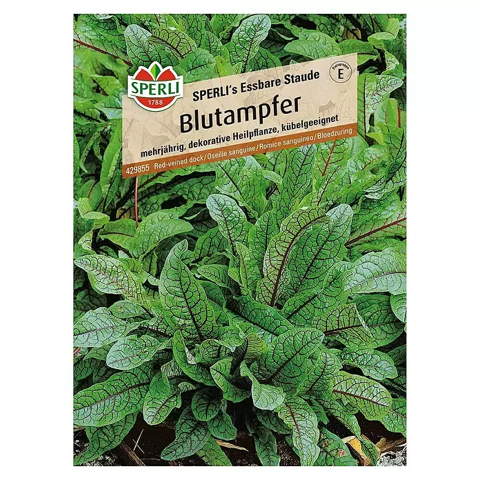 Sperli Salatsamen Blutampfer - Rumex sanguineus, Erntezeit: Mai - Vorderansicht