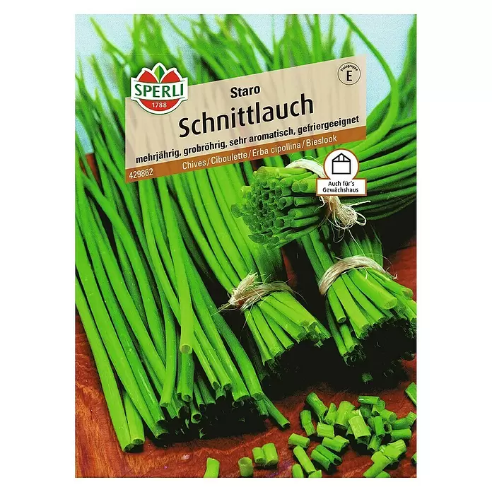 Sperli Kräutersamen Schnittlauch - Staro - Saatscheiben, Allium schoenoprasum, Saatzeit: April, Erntezeit: Ganzjährig - Vorderansicht