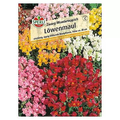 Sperli  Blumensamen Löwenmäulchen